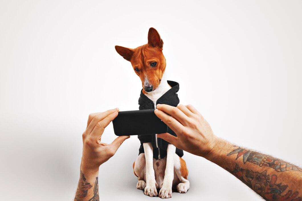 pet camera wifi
