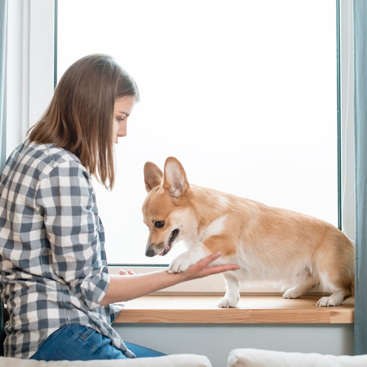 pet monitor app