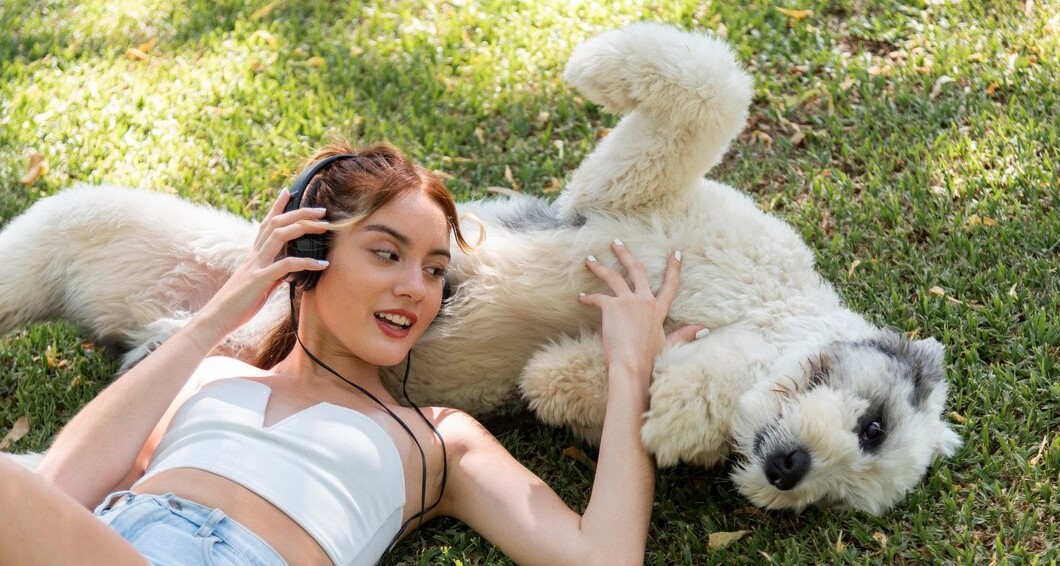 pet camera monitoring