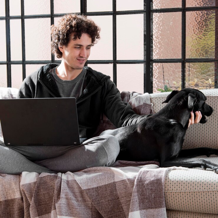 best pet monitor