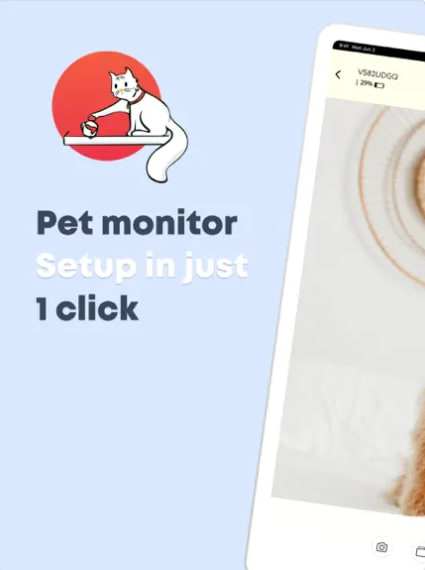 dog camera
