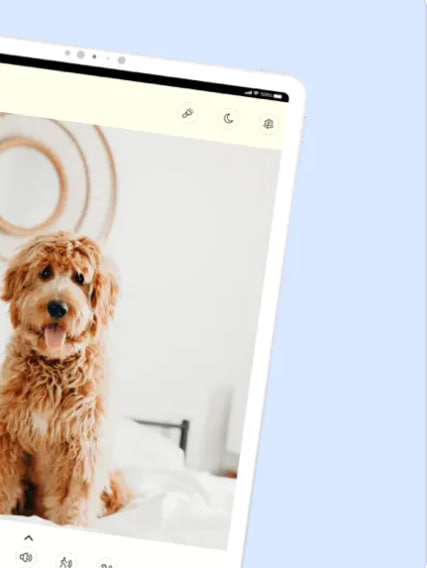 best pet monitor