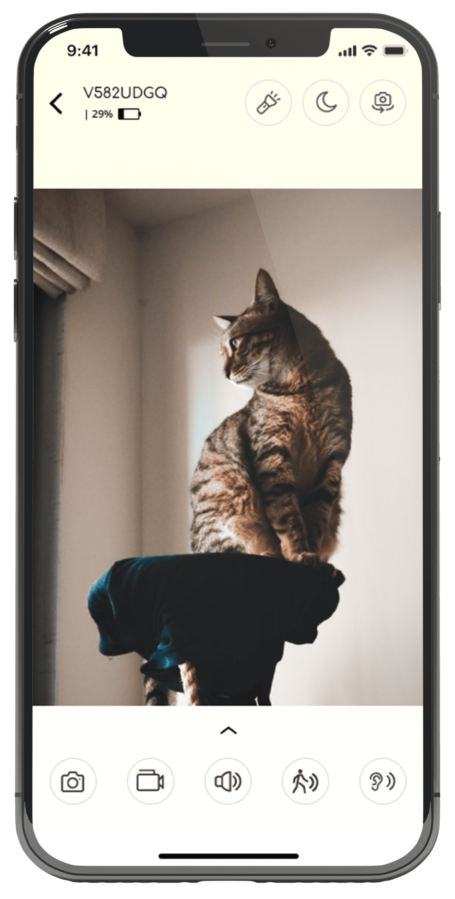 pet monitor wifi