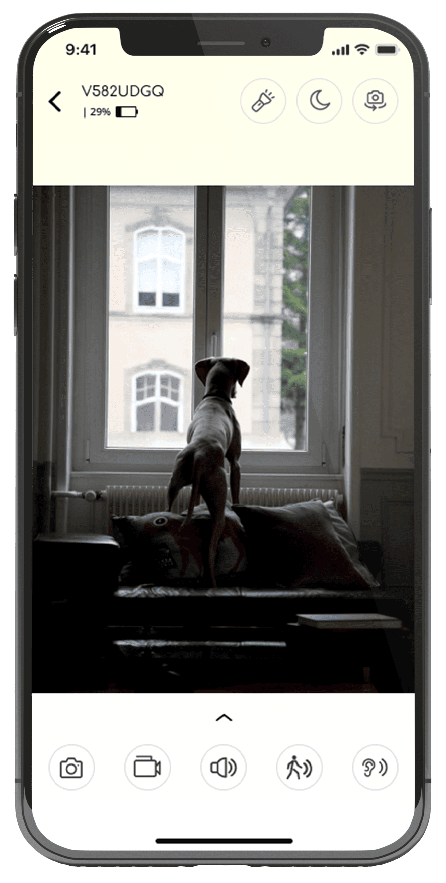 pet cam