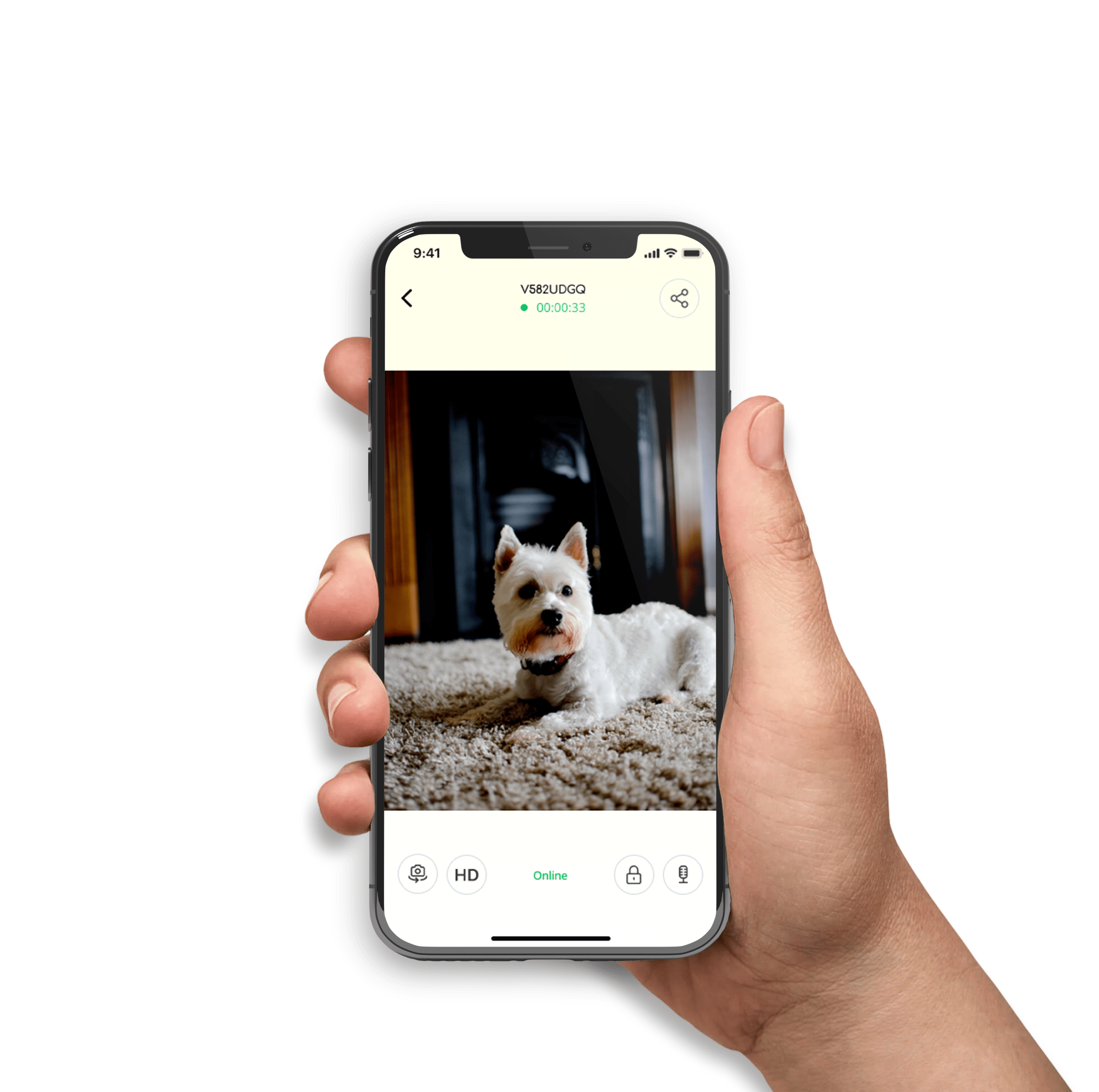 pet surveillance camera