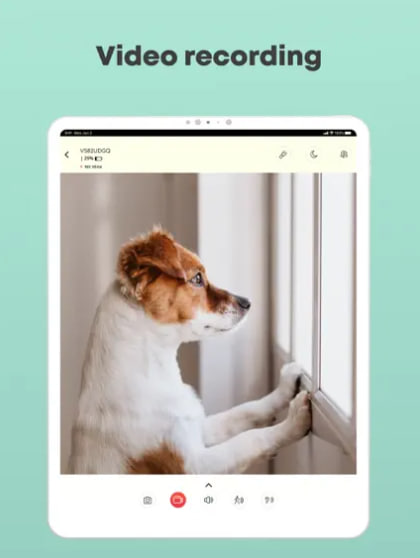dog monitor